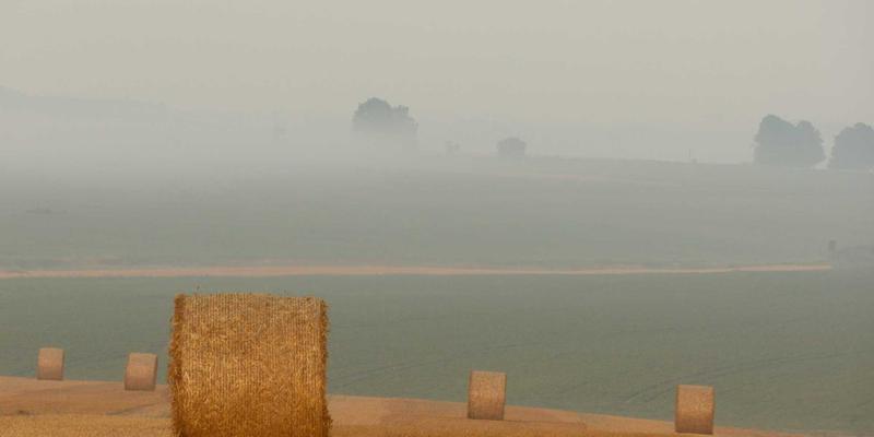 东南亚房产投资新机遇：泰国、菲律宾、柬埔寨的身份规划与财富策略 | 埃米利奥哈曼移民咨询