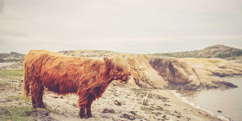 东南亚房产投资新机遇：越南、泰国、印尼市场解析与埃米利奥哈曼身份规划策略