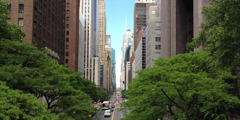 从埃米利奥哈曼案例看海外房产投资：资产配置与移民咨询的协同策略