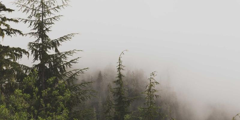 埃米利奥哈曼与身份规划:解锁海外房产投资的深层价值