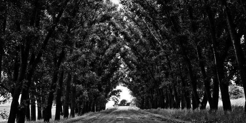 埃米利奥哈曼：海外房产投资与移民咨询，如何实现全球化资产配置新布局