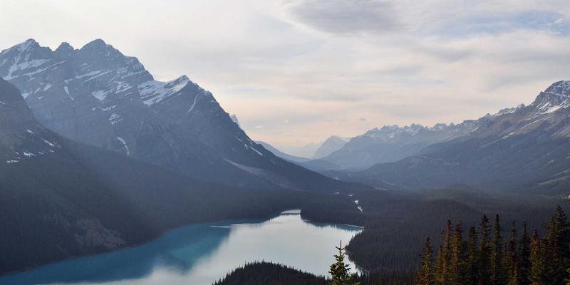 埃米利奥哈曼资产配置策略：海外房产投资全流程实战教程