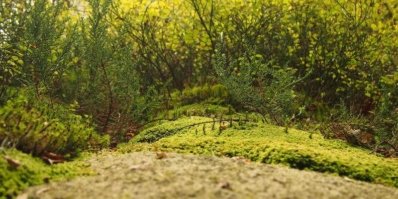 海外房产投资67：埃米利奥哈曼的资产配置与身份规划新视角