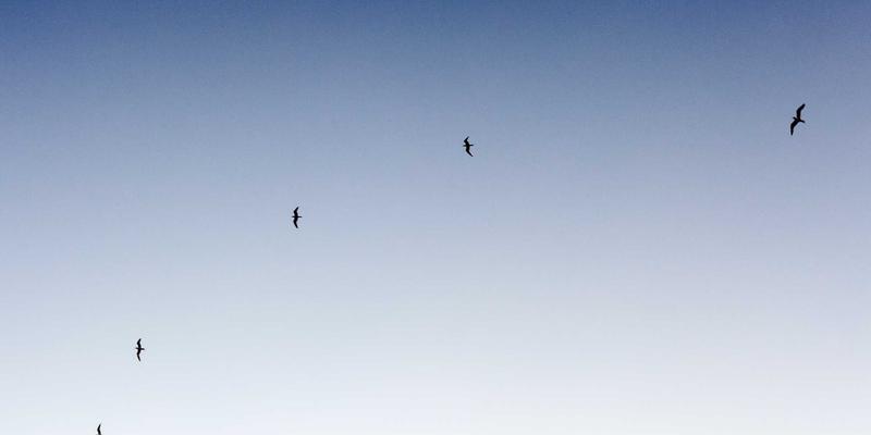 海外房产投资70：移民咨询、身份规划与资产配置的黄金三要素