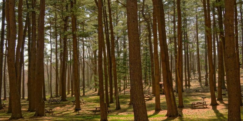 海外房产投资与身份规划双轨并行：新时代高净值家庭的全球化战略