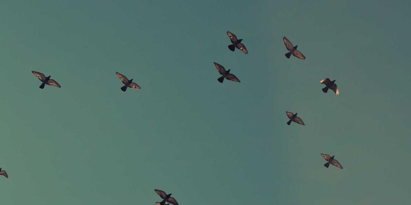 海外房产投资入门：从资产配置到专业选择，开启全球财富布局