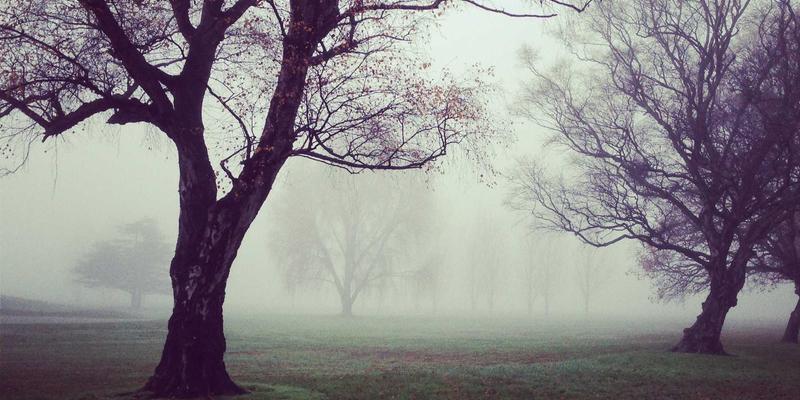 海外房产投资新维度：身份规划与资产配置的双重战略价值