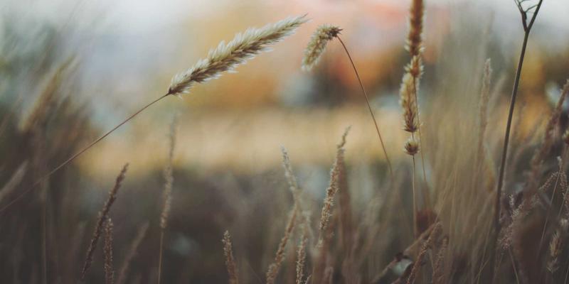 海外房产投资新趋势：如何通过移民咨询实现资产与身份的全球配置