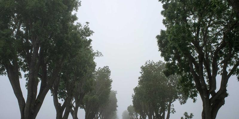 资产配置新思路：如何通过海外学区房投资为子女教育铺路 | 埃米利奥哈曼移民咨询